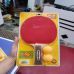 Wakaba 99 chính hãng nội địa Nhật