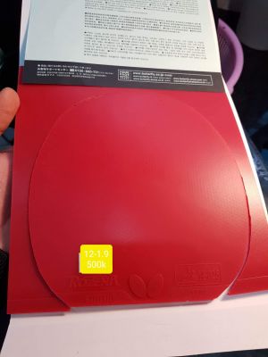 Rozena qsd ms 12