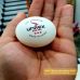 BÓNG THI ĐẤU UNREX SUN 40+