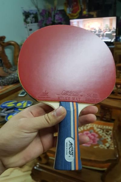 Vợt dán sẵn yinhe
