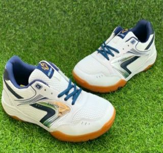 Giày Bóng Bàn - Tenis Sagitta 065