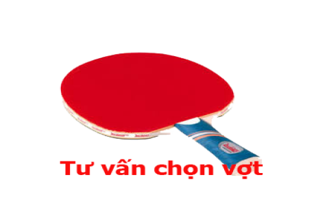 Kinh nghiệm cách chọn mua vợt bóng bàn để phù hợp với cách chơi nhất